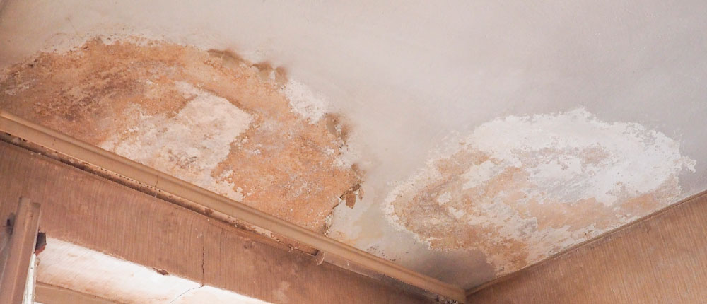 Los herederos de una vivienda deben responder por los daños que ésta ocasione al resto de vecinos como consecuencia de dejar que el inmueble se deteriore